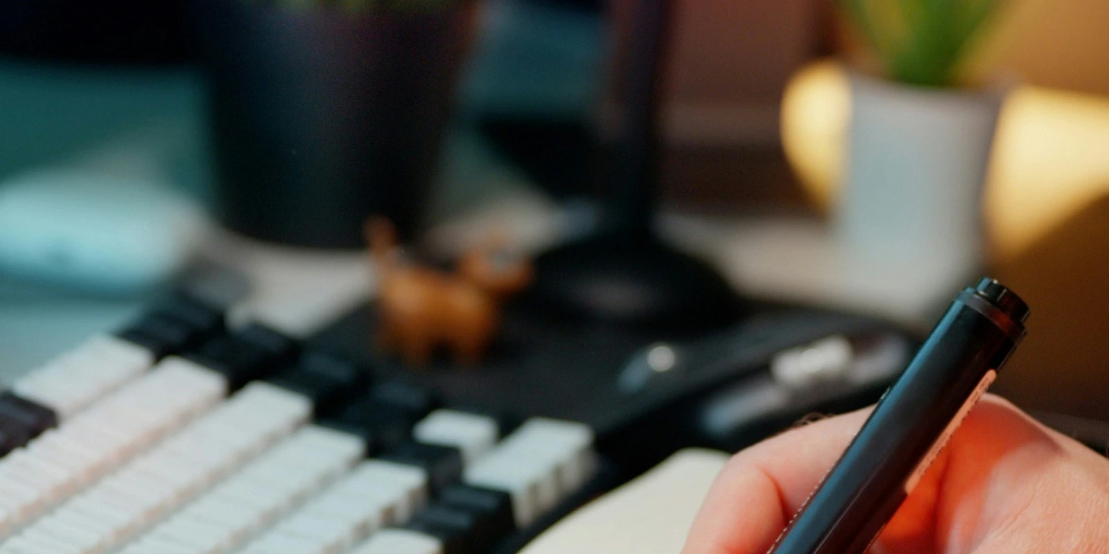 BTSA ACSAGRI : Conduite et Stratégie Agricole