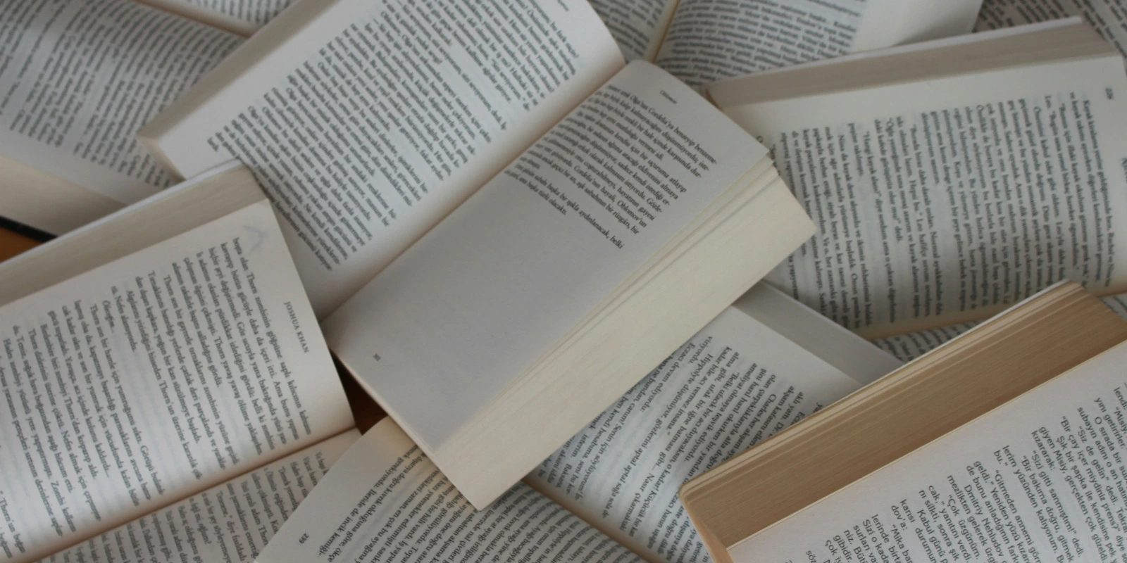 BTSA ACSAGRI : Parcours et Débouchés